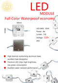 Full-Color Waterproof LED Module — 4-SMD LED Square Module — 250 Lumens/Module — Cool White Light
